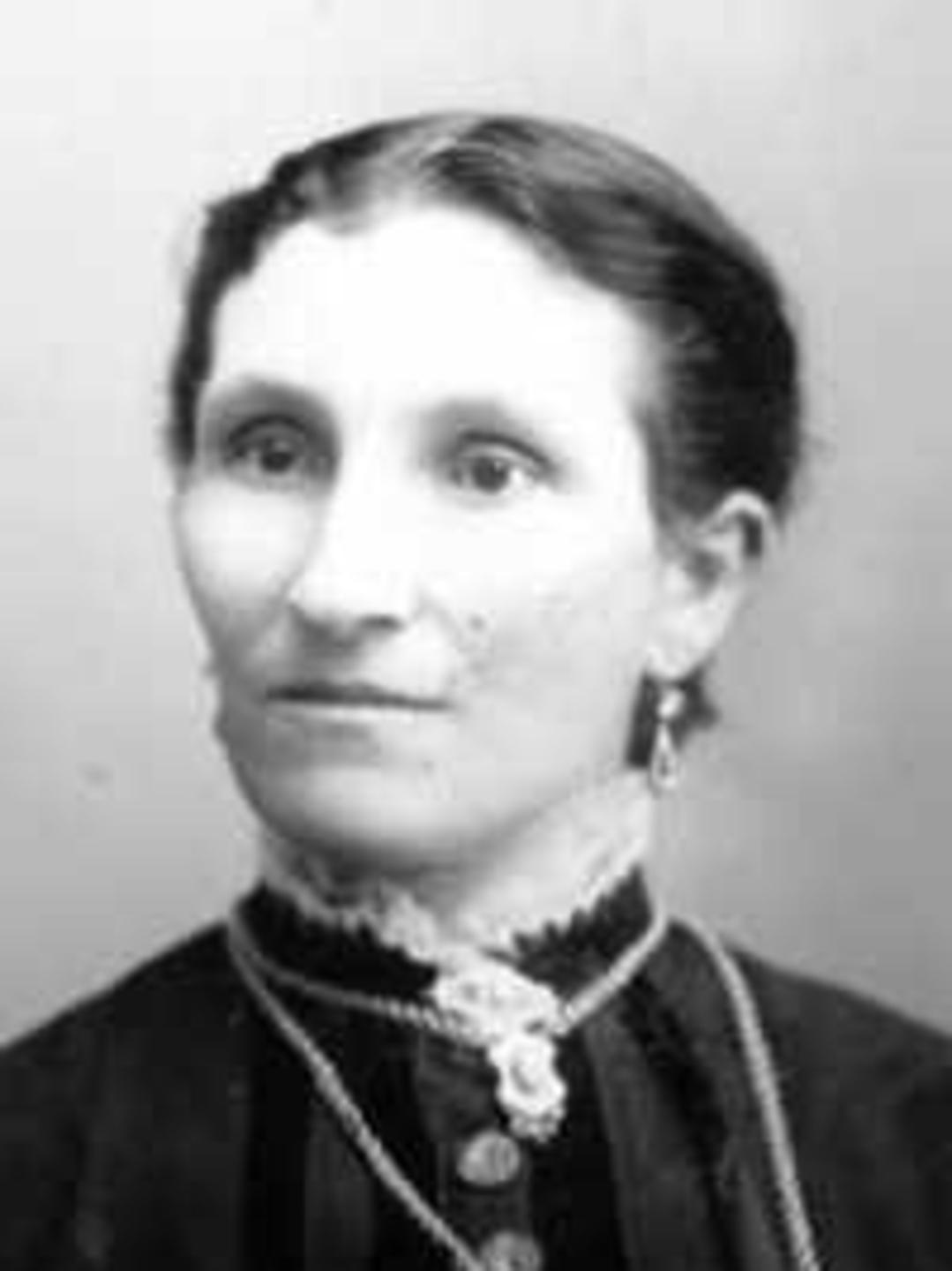 Elizabeth Preston Welch (1848 - 1924) Profile